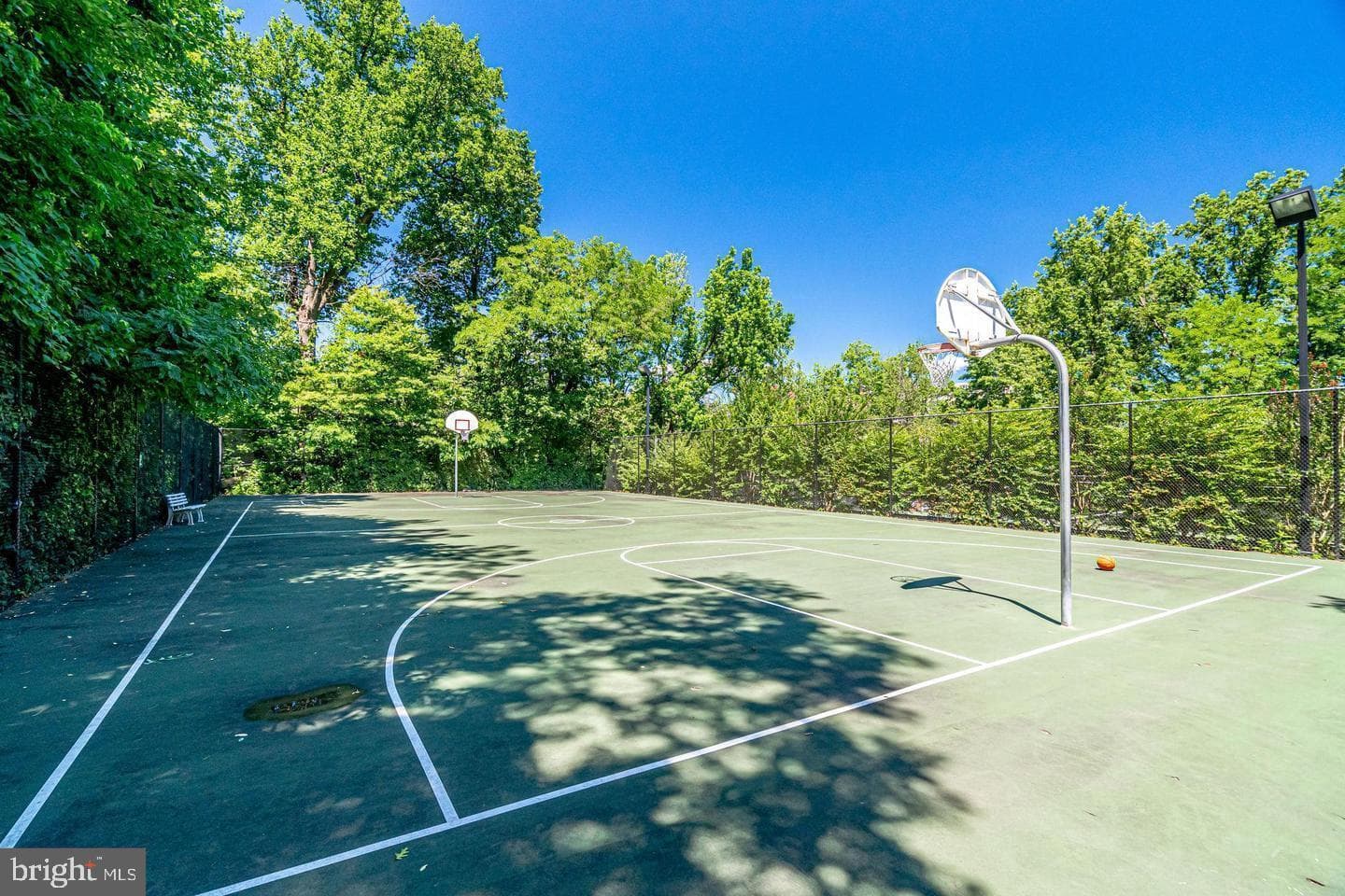 3539 Martha Custis Drive photo 28