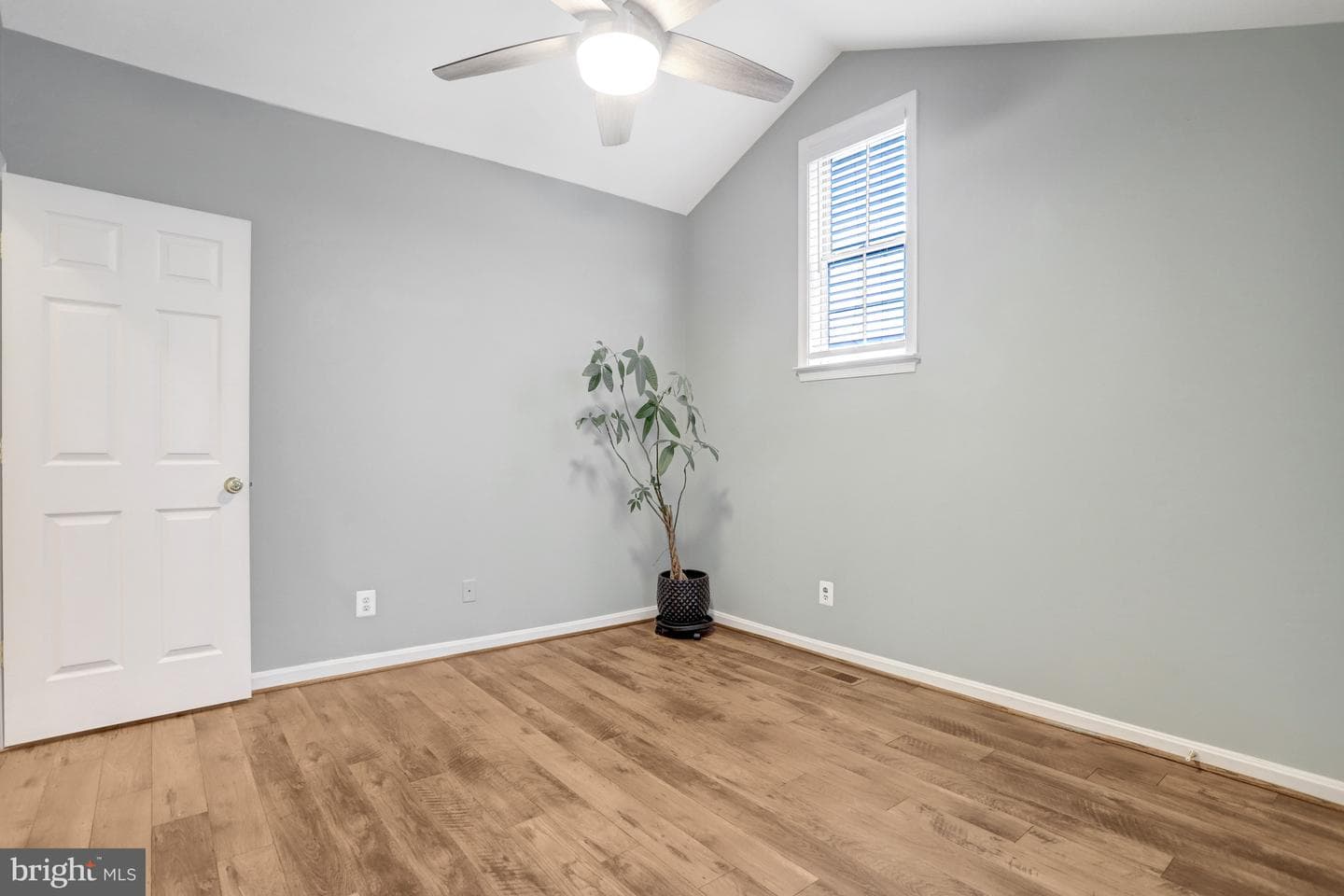 6043 Riddle Walk photo 44