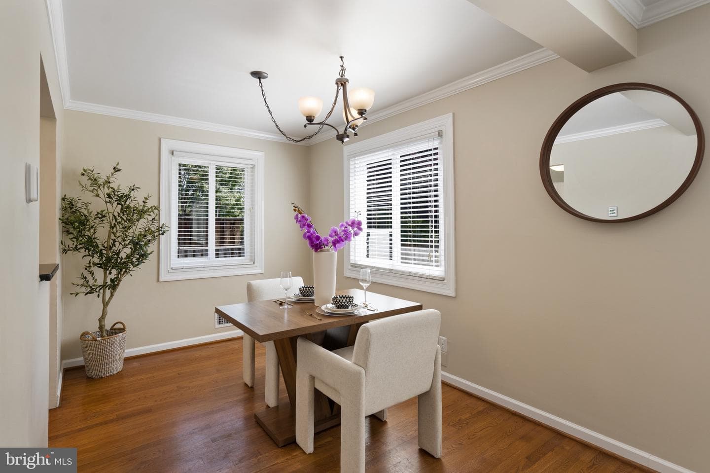 1333 Oronoco Street photo 11