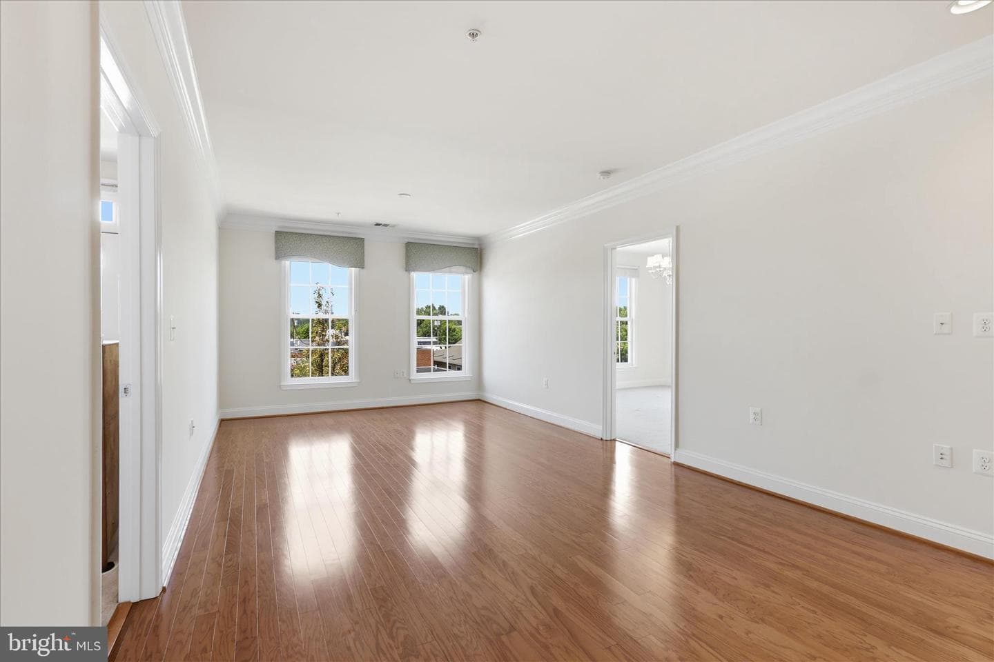 1115 Cameron Street #315 photo 3