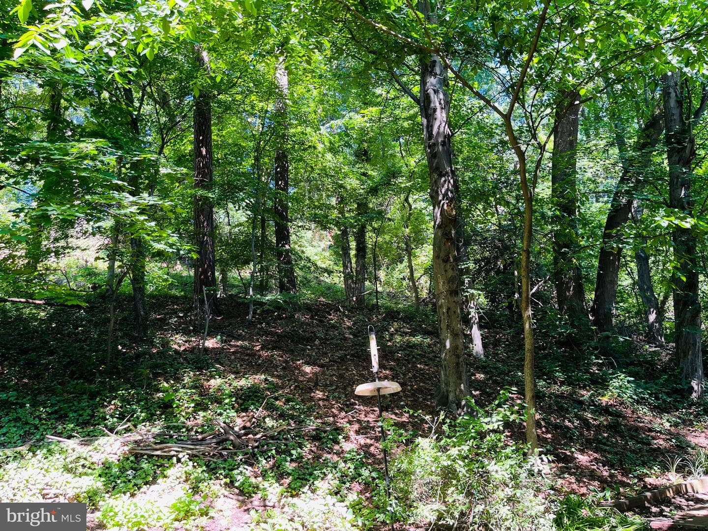 1607 Preston Road photo 26