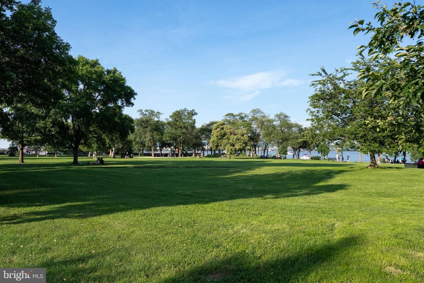 1301 E Abingdon Drive #1 photo 12