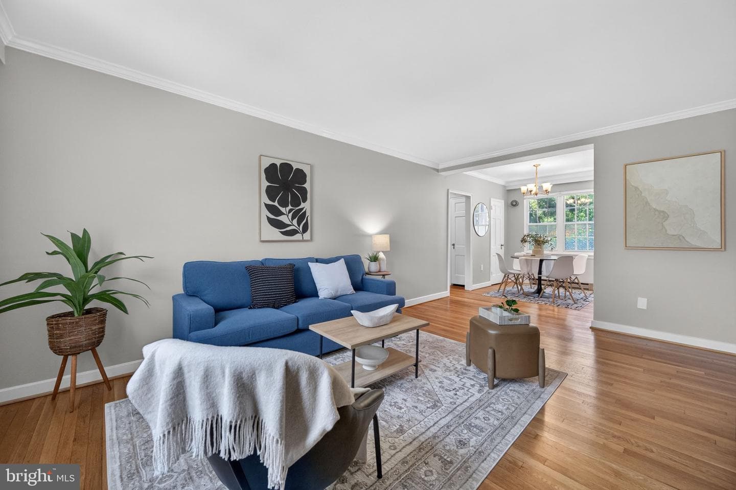 24 Auburn Court #a photo 3