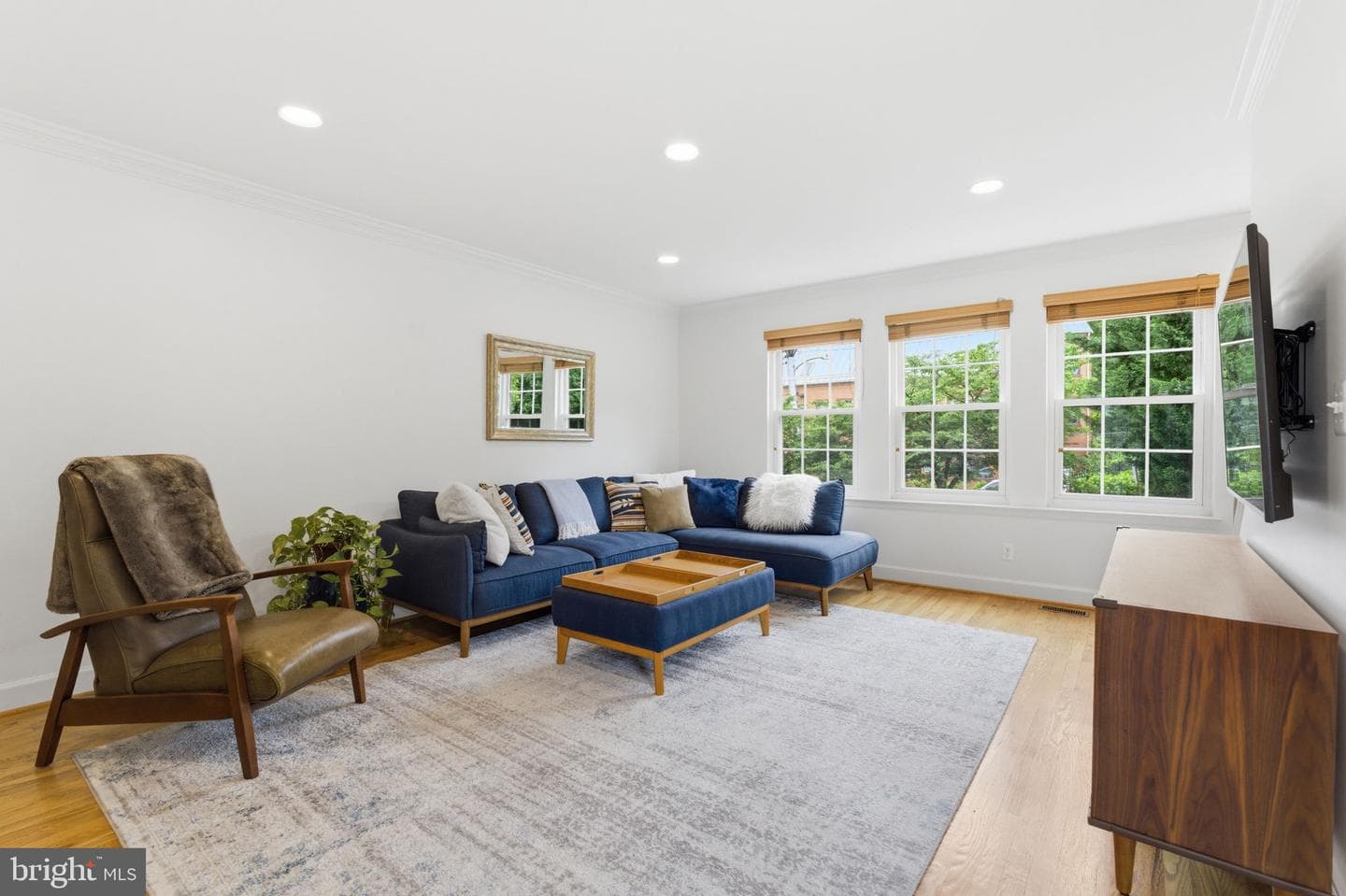 45 Herbert Street photo 5