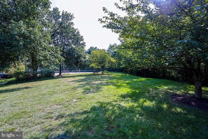 801 N Howard Street #568 photo 16