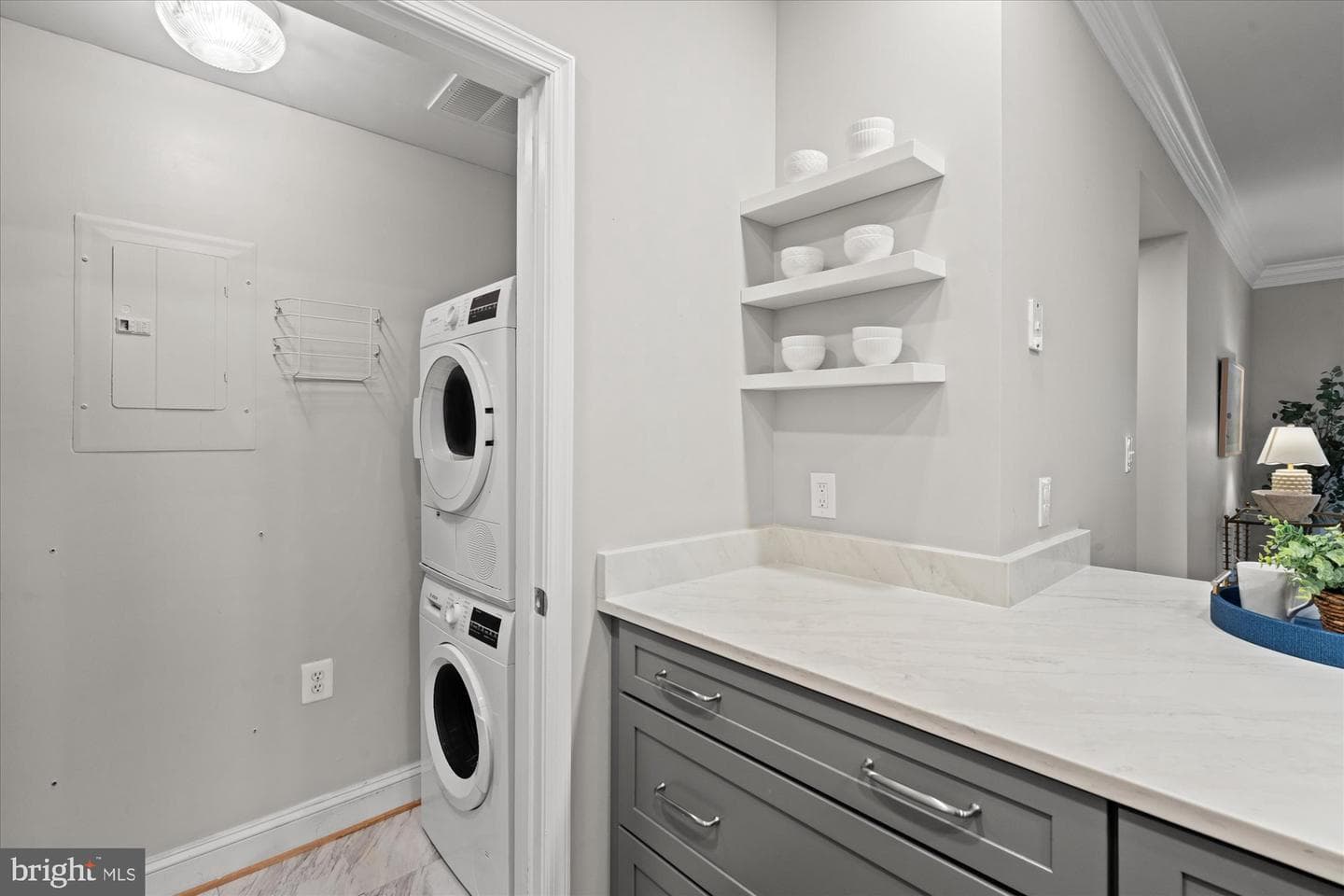 1115 Cameron Street #109 photo 7