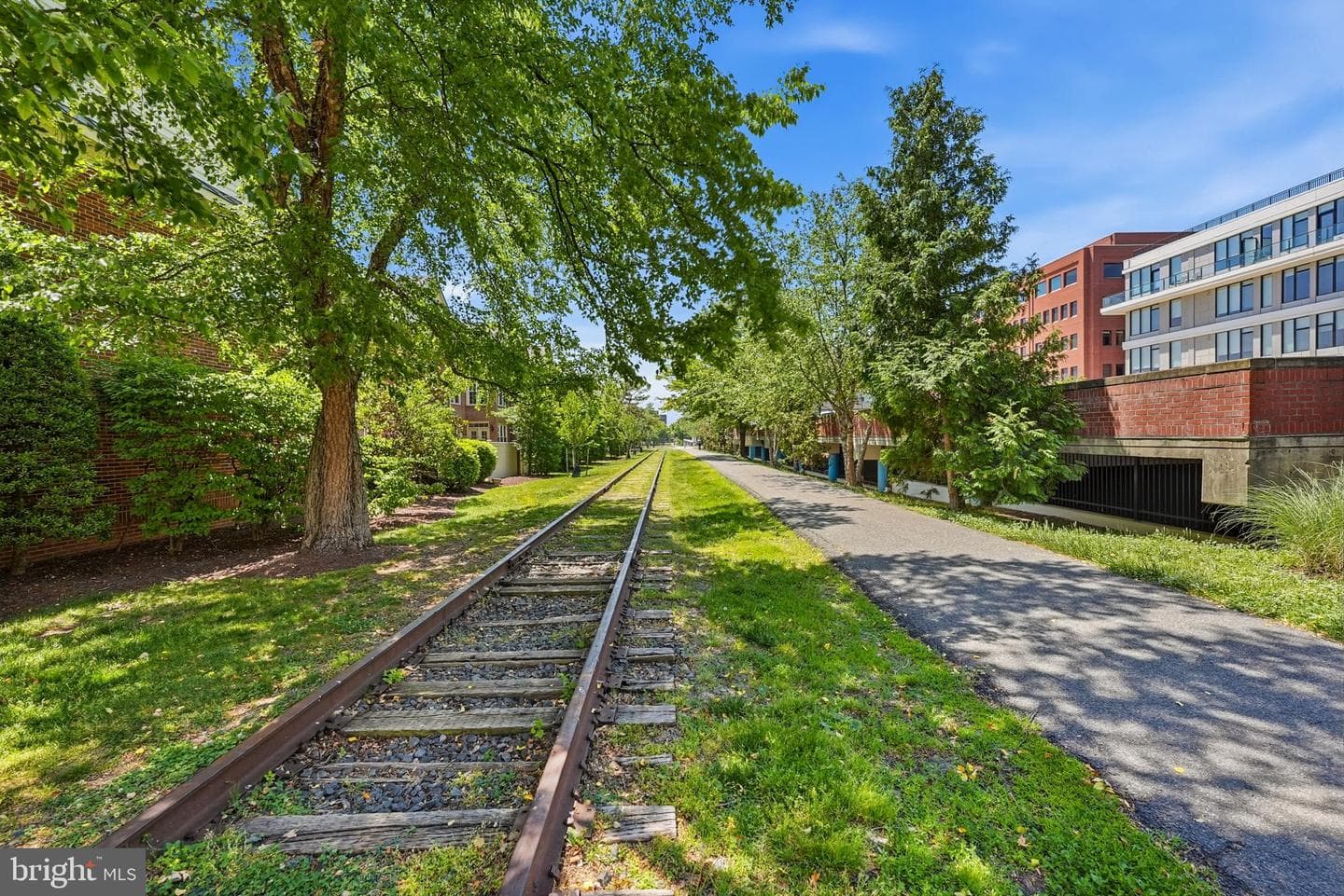 223 Montgomery photo 38
