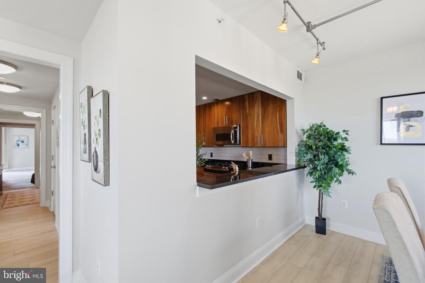 2050 Jamieson Ave #1001 photo 9