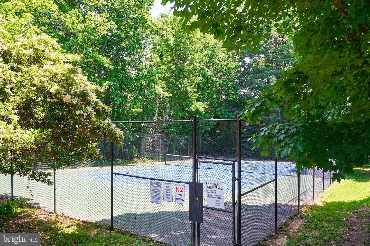3430 Martha Custis Drive photo 30