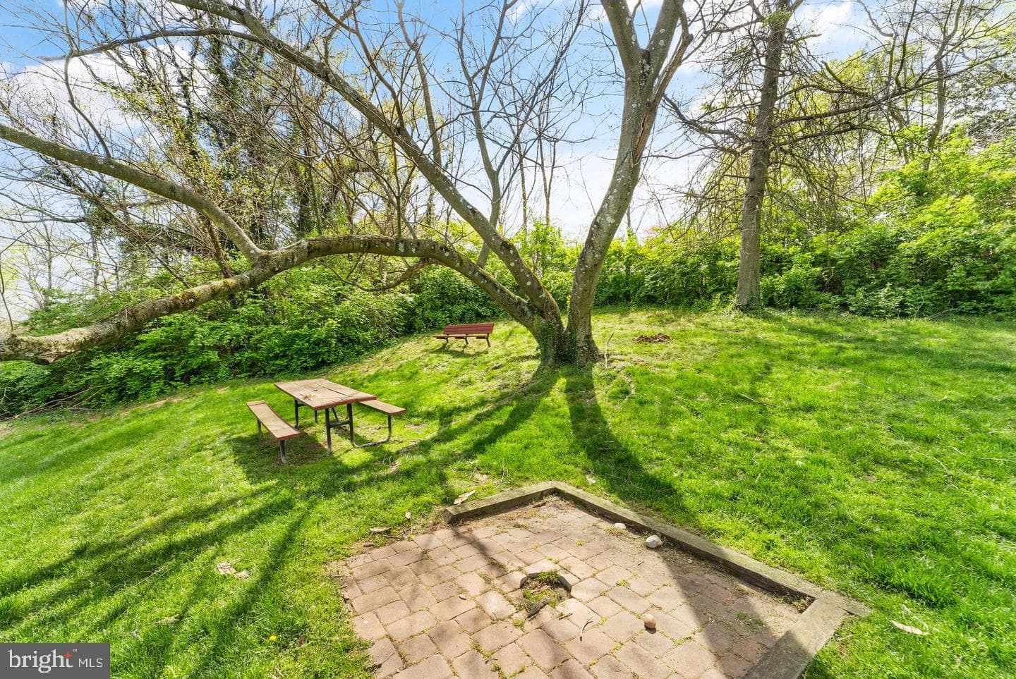 49 Skyhill Road #204 photo 19
