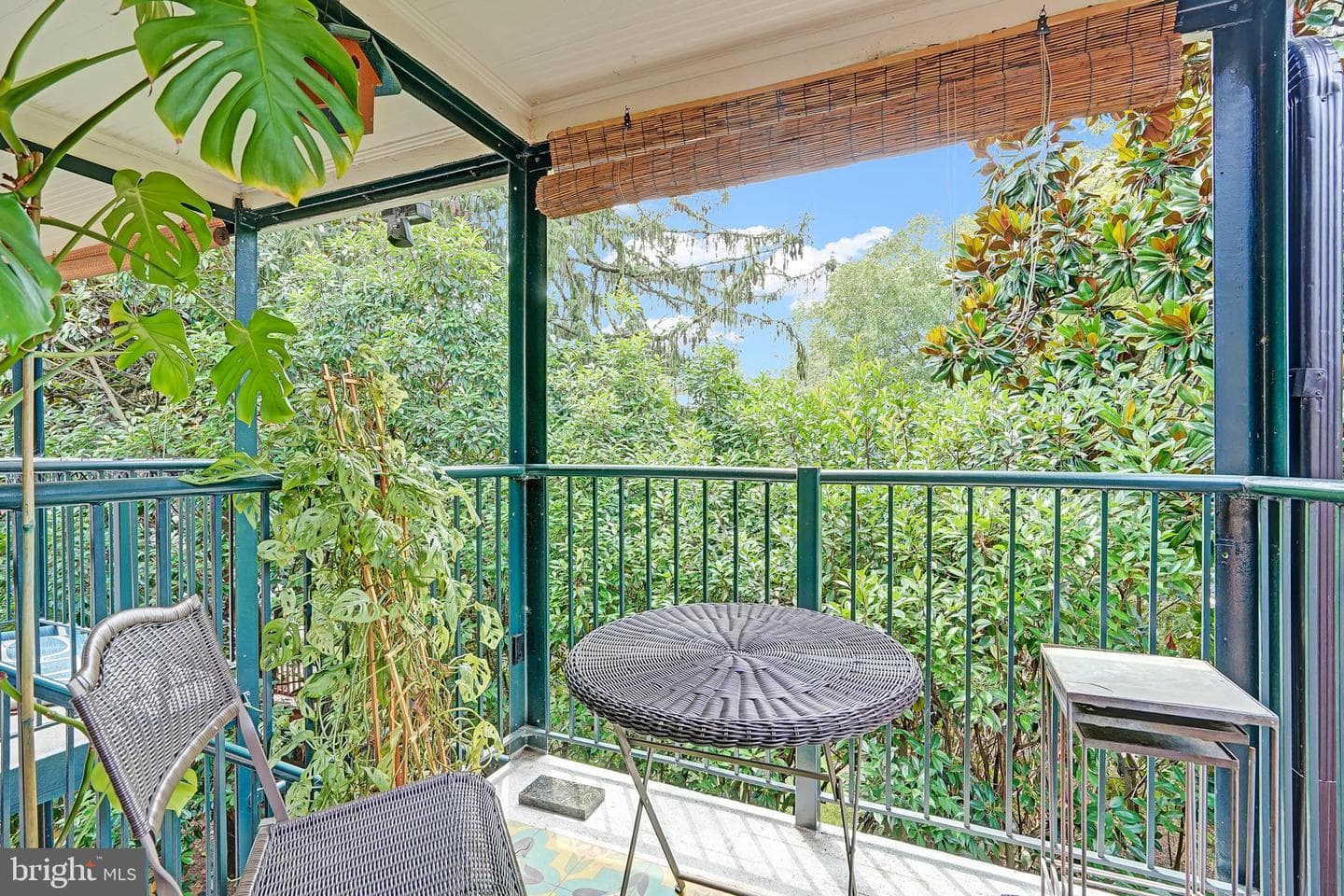 400 Commonwealth Avenue #304 photo 17