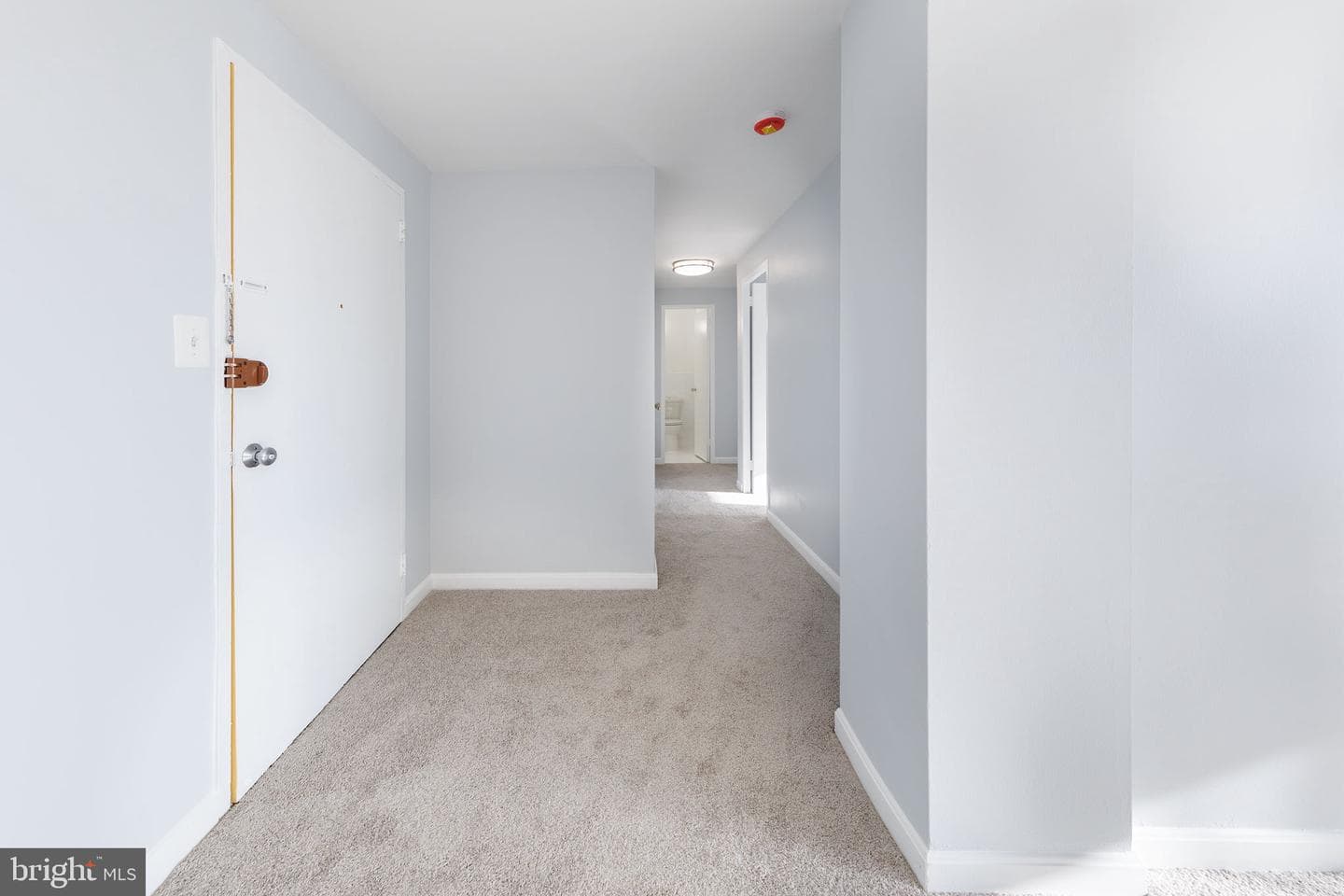 4600 Duke Street #413 photo 19