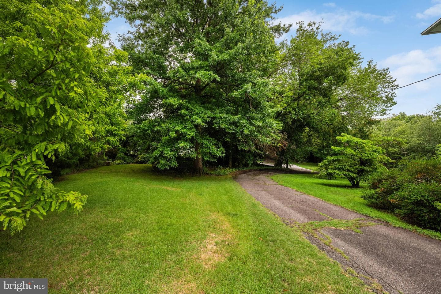 1803 Orchard Street photo 7