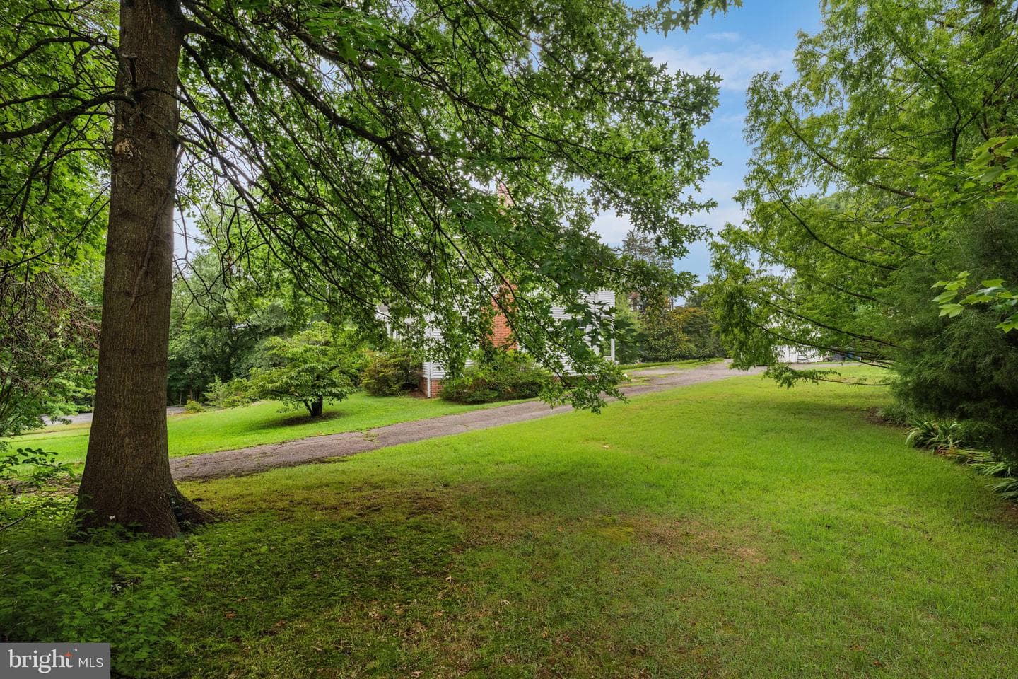 1803 Orchard Street photo 8