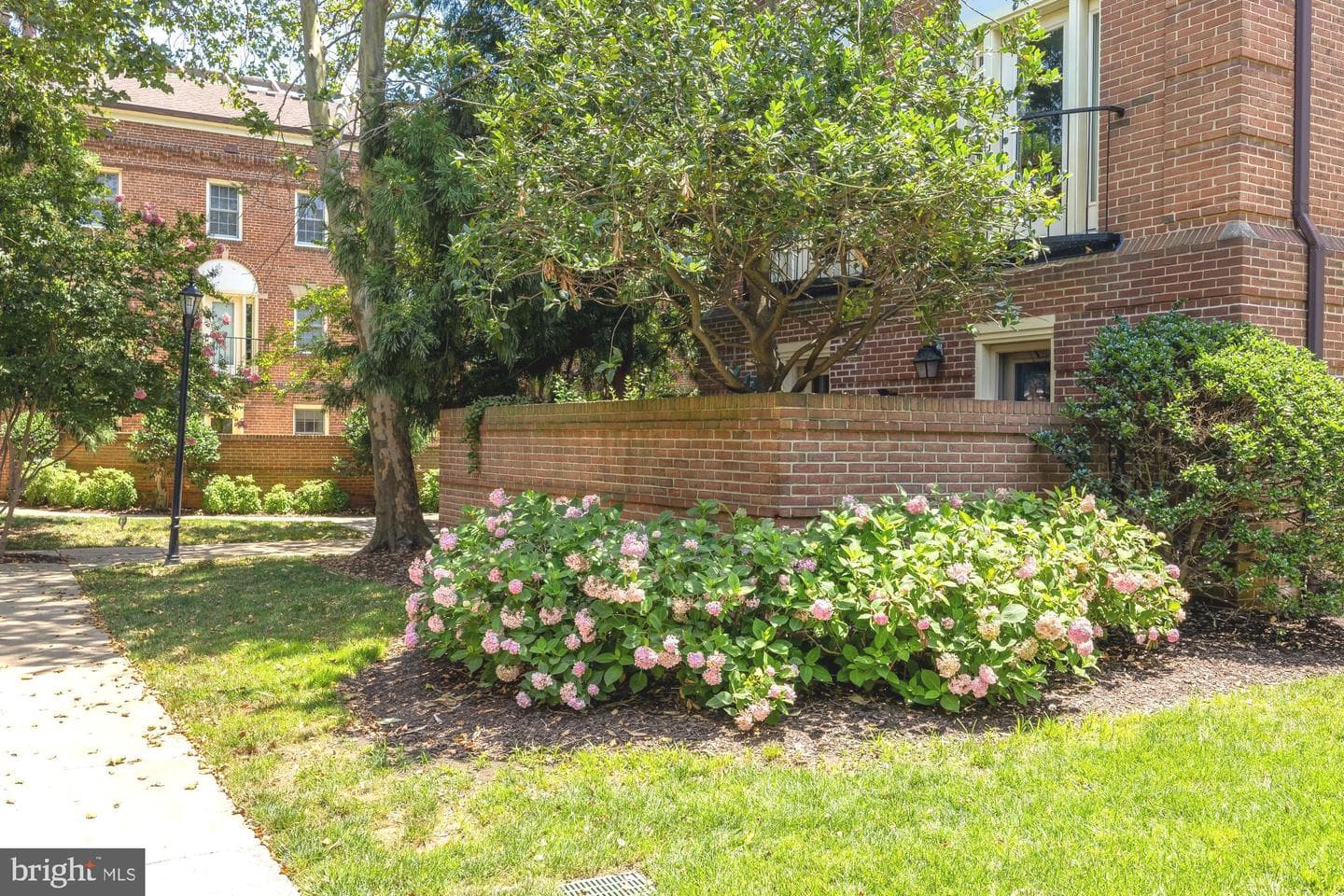 1115 N Pitt Street #2b photo 22