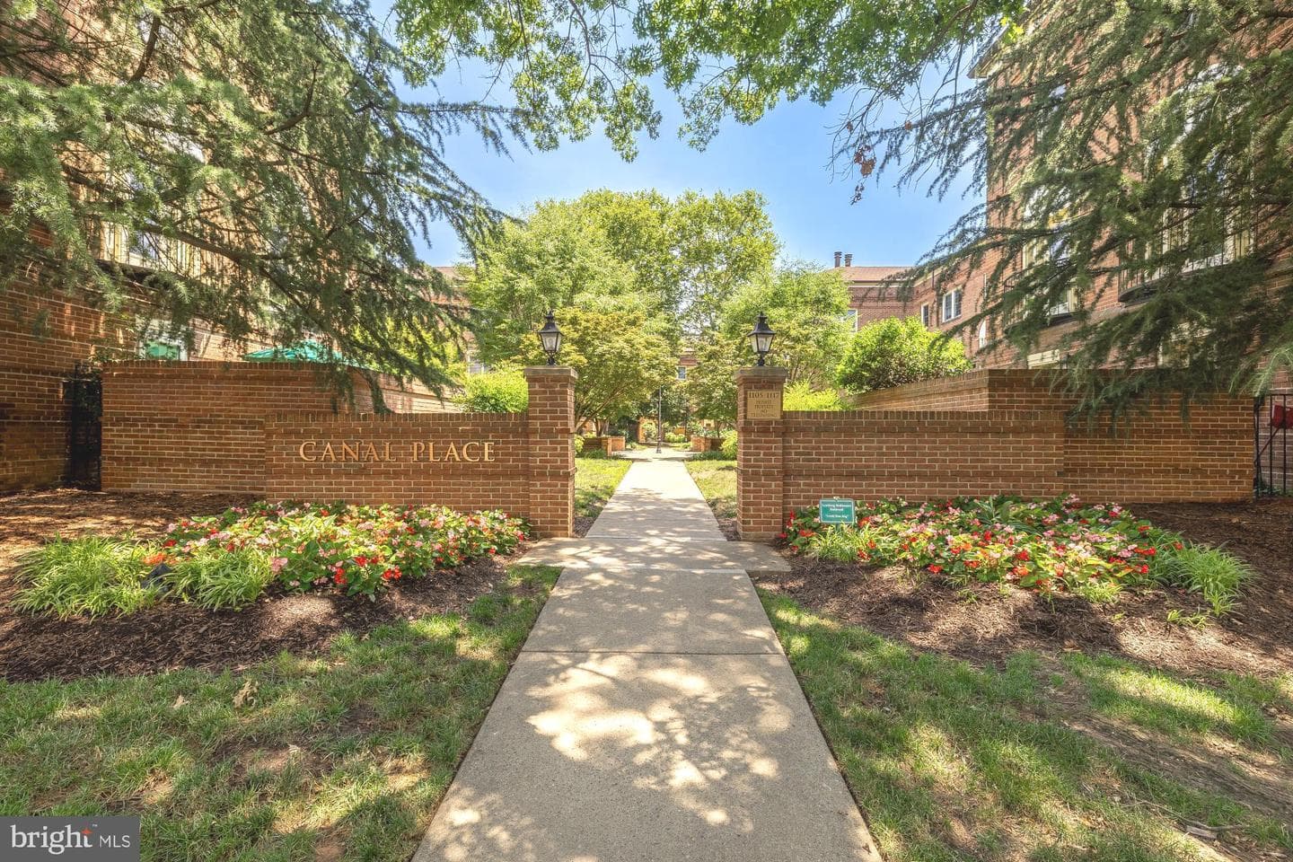 1115 N Pitt Street #2b photo 24