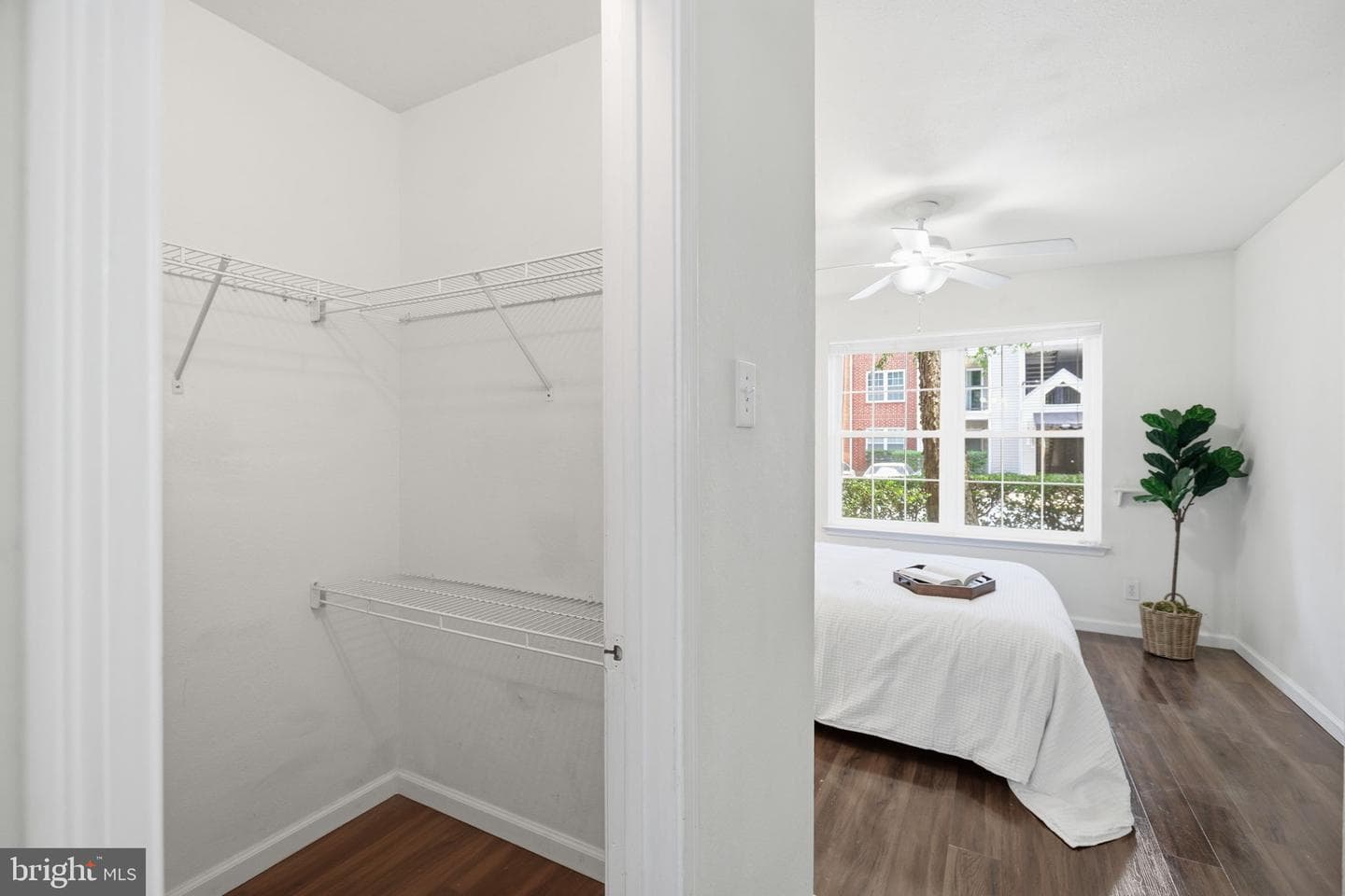 3303 Wyndham Circle #146 photo 19