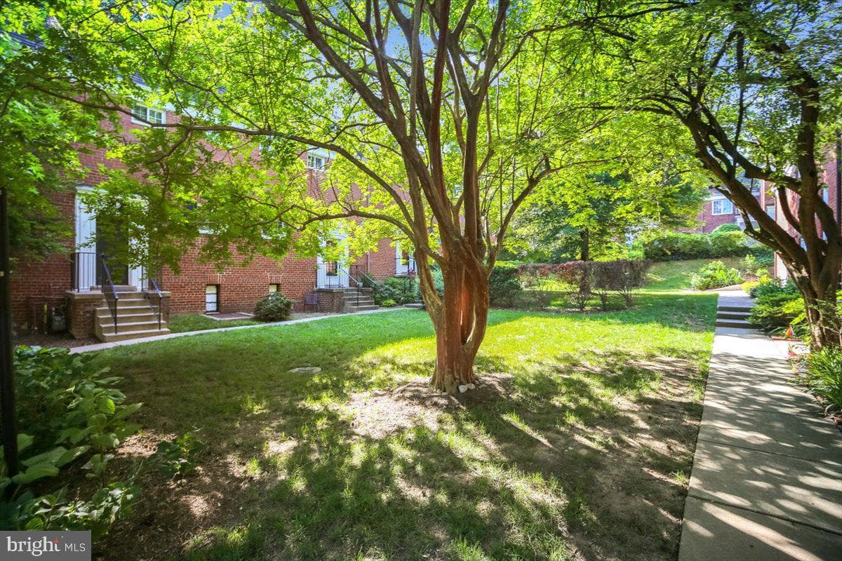 3702 Valley Drive photo 34