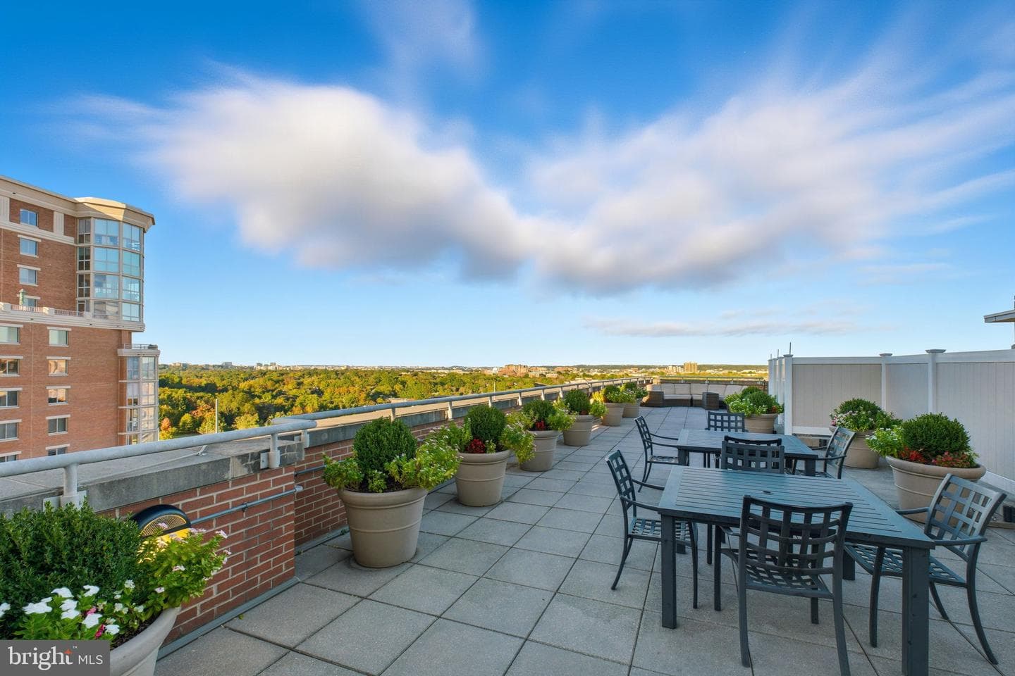 2050 Jamieson Avenue #1008 photo 23
