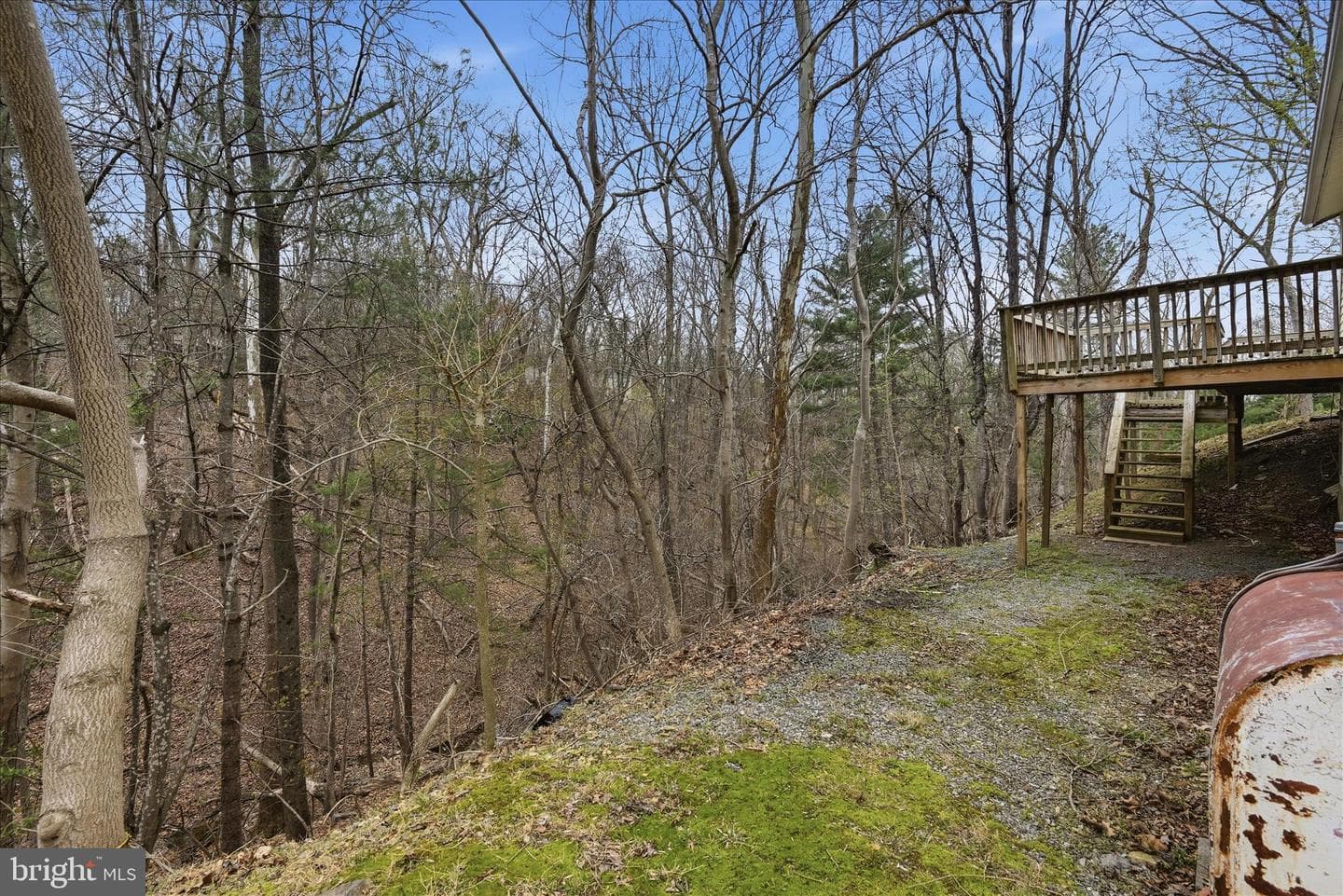 397 White Oak Lane photo 28