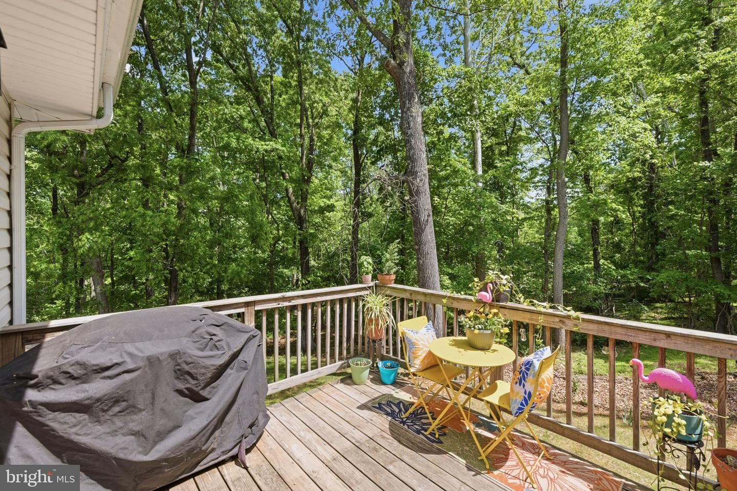 350 Evergreen Lane photo 22