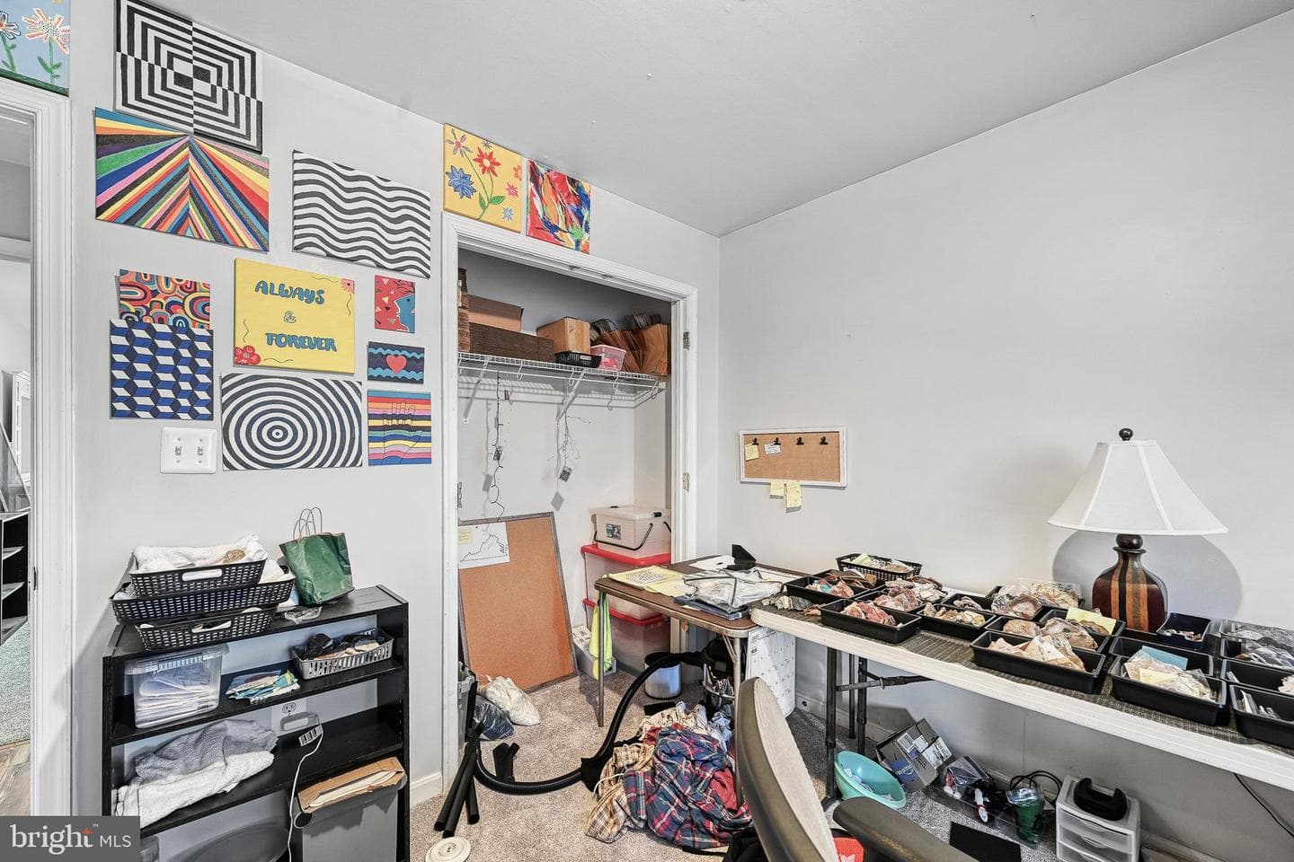 14305 S Hall Court photo 59