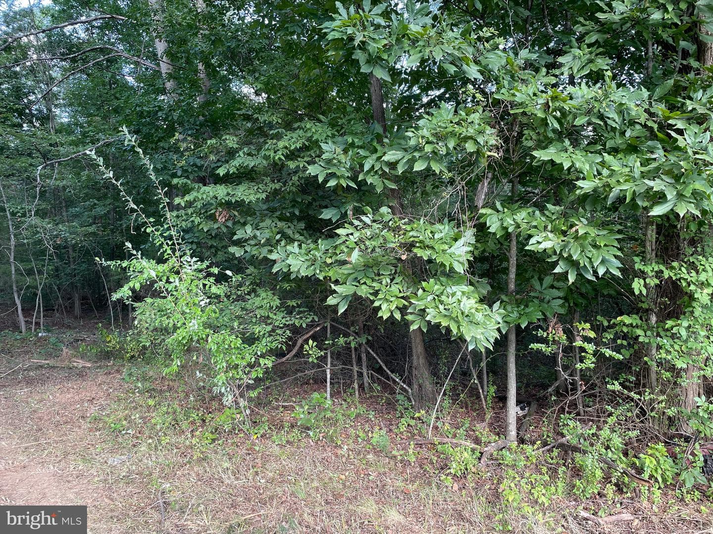 17464 Executive Lane photo 18