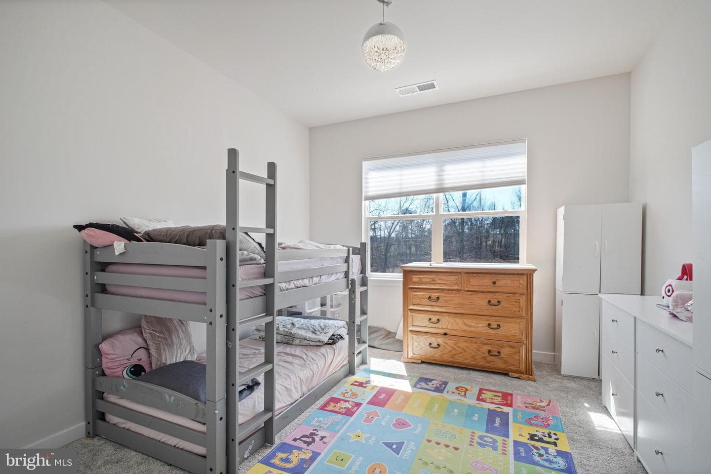 2094 Whithorn Hill photo 44