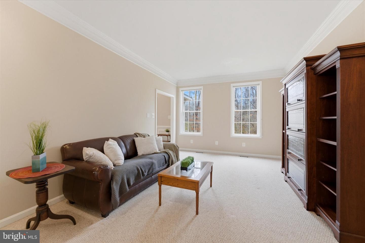 15420 Bob White Trail photo 20