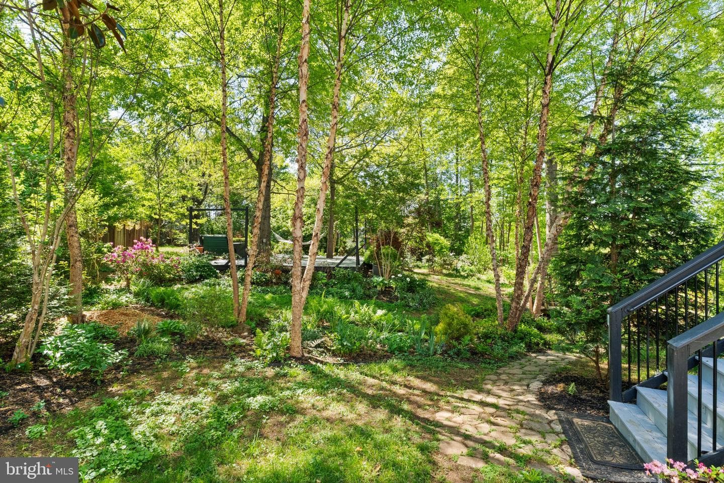 553 Windermere Drive photo 69