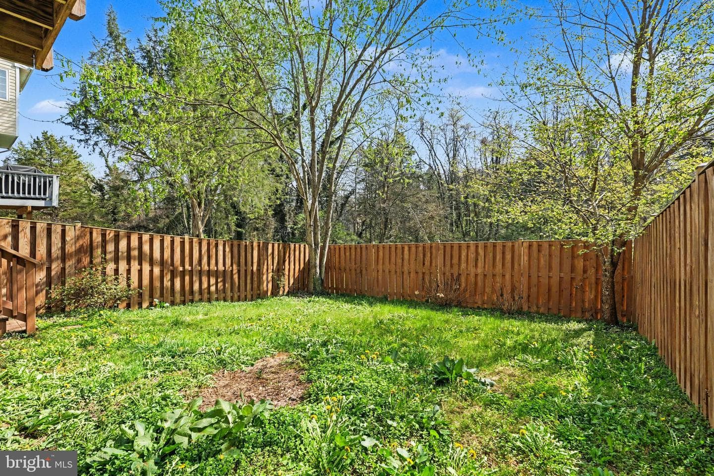 359 Snyder Lane photo 31