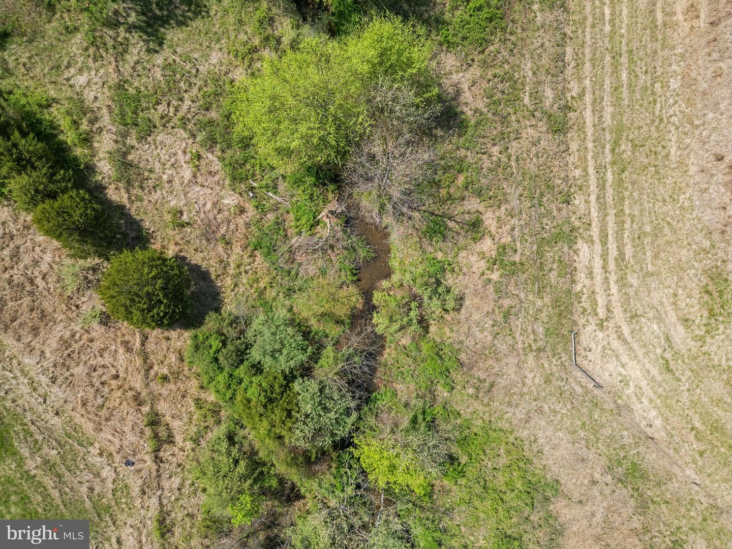 8396 Rixeyville Road photo 56