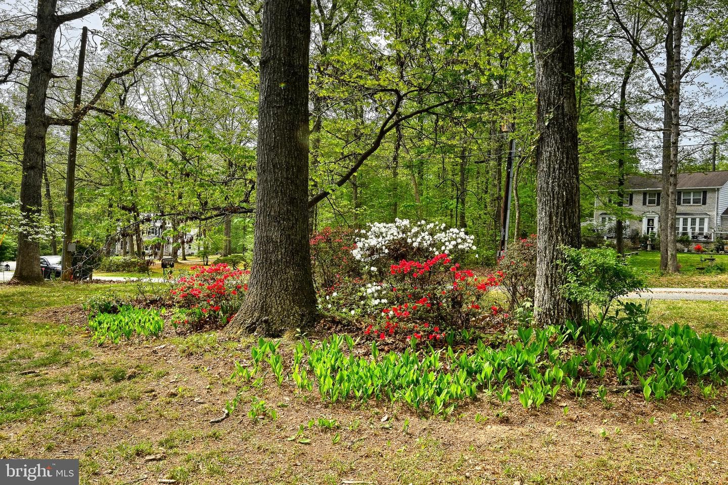 12365 Randle Lane photo 44