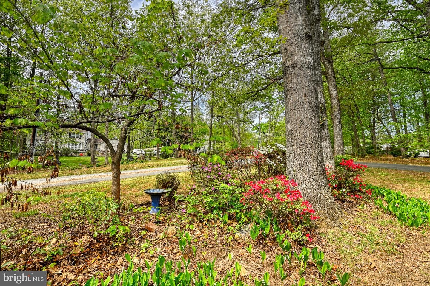 12365 Randle Lane photo 45