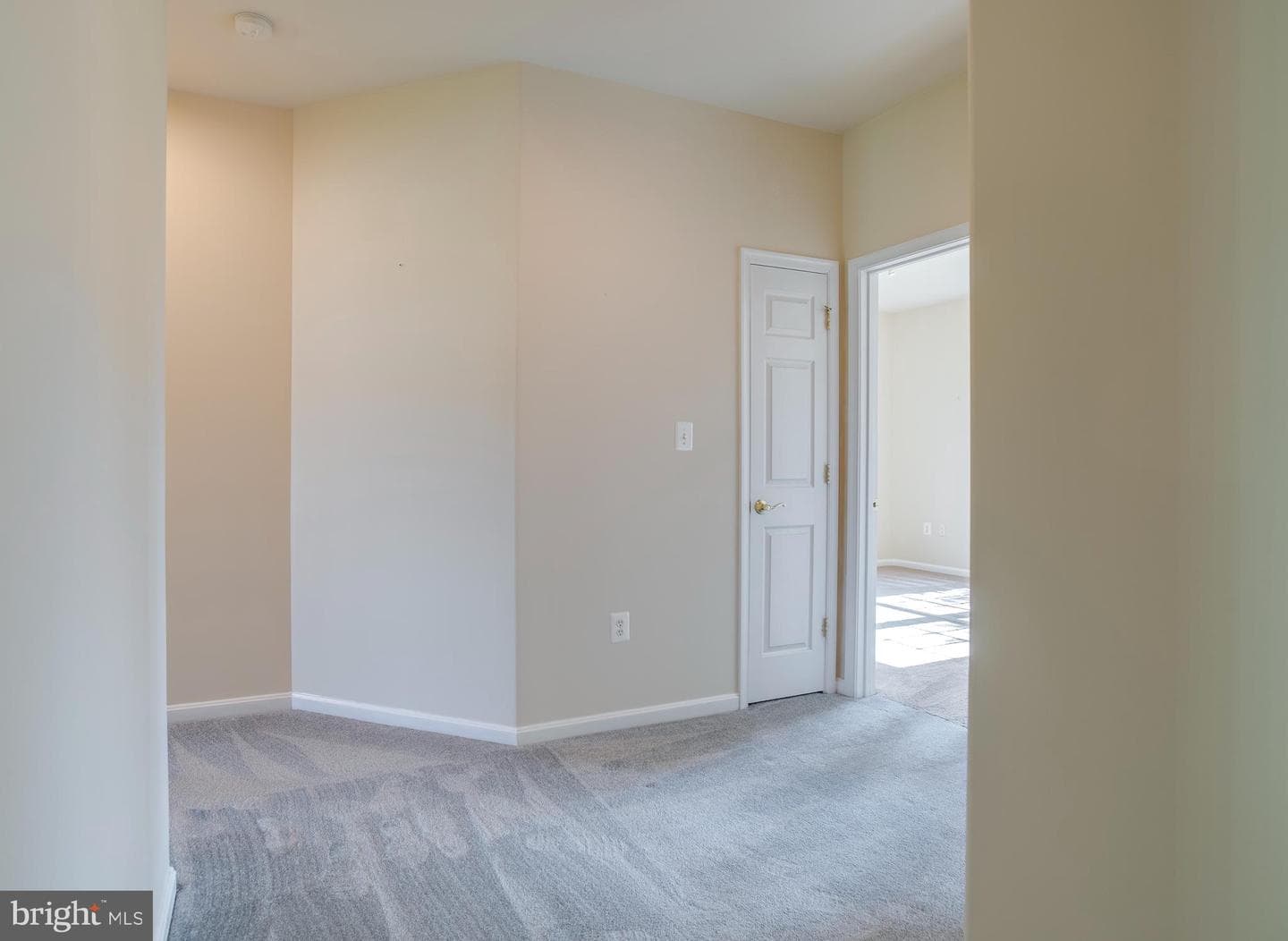 14308 S Hall Court photo 23
