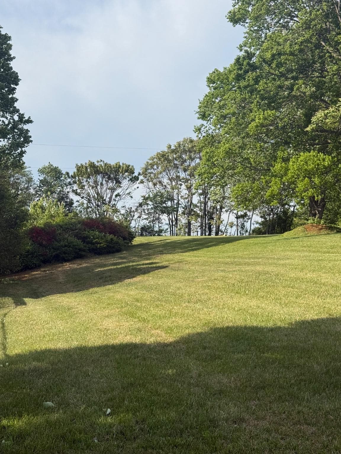 13420 Chestnut Fork Road photo 6