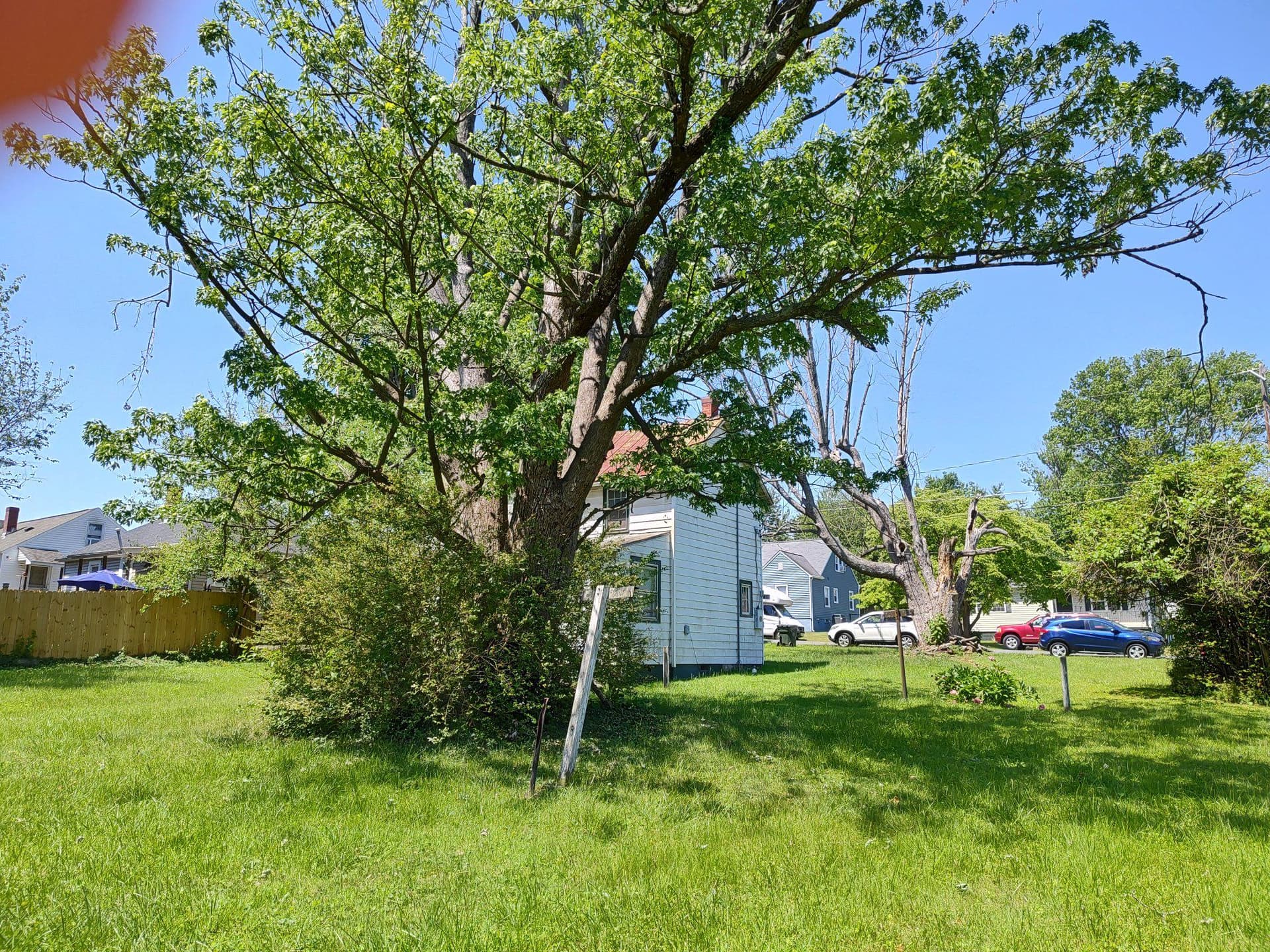 1133 Jackson Street photo 2