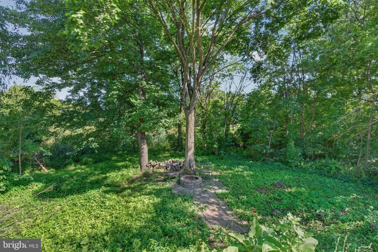 15610 Great Bridge photo 49