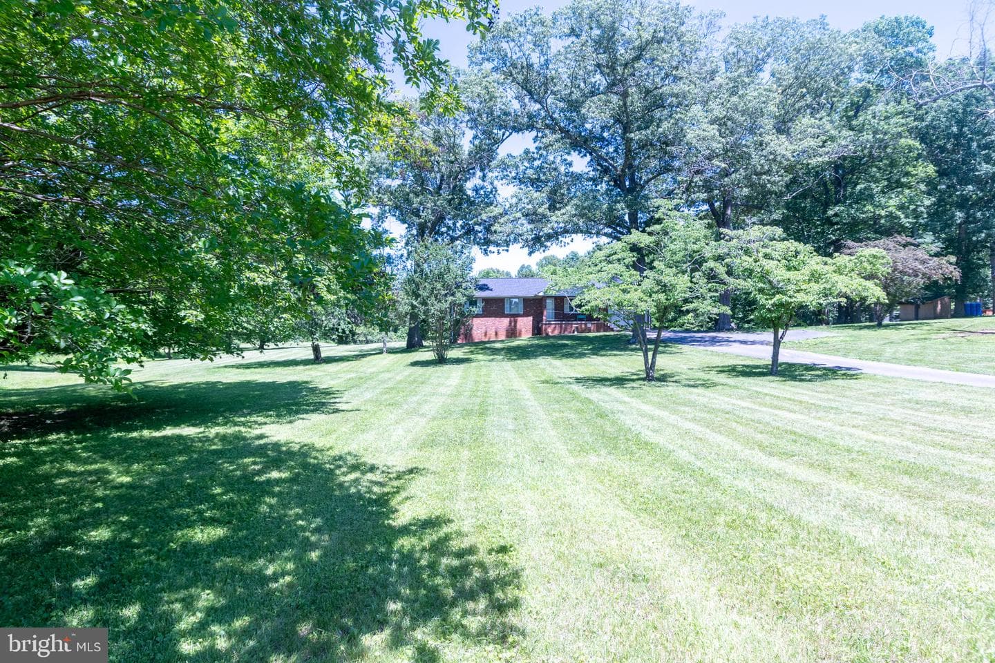15122 Hall St photo 36