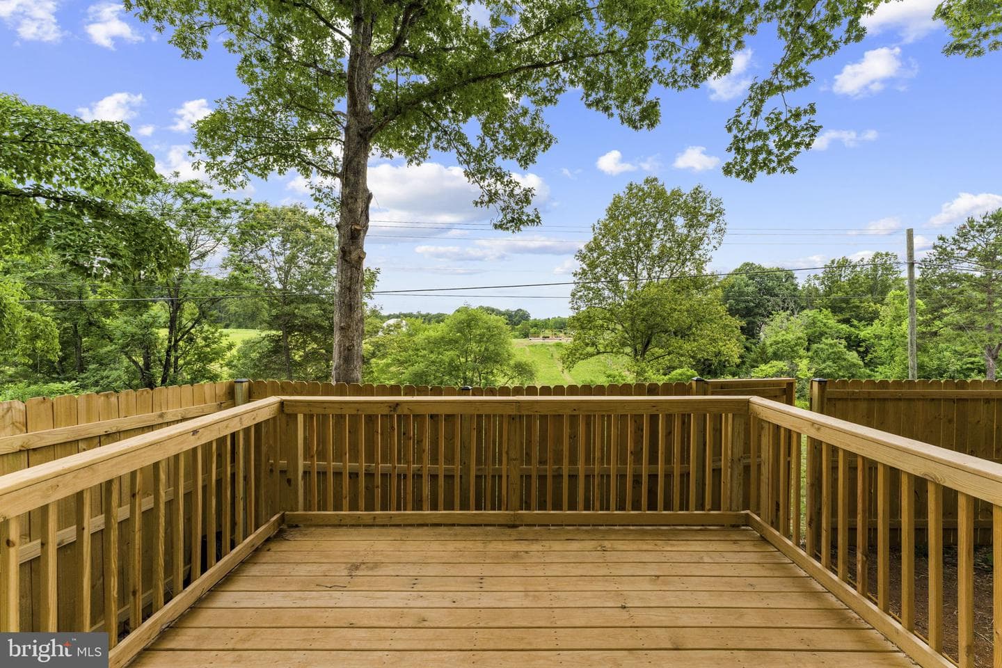 13166 Rixeyville Road photo 40