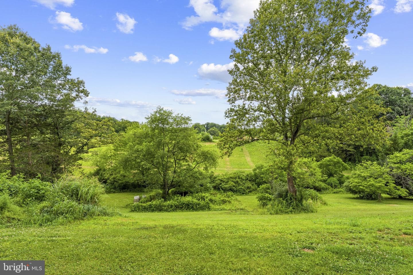 13166 Rixeyville Road photo 43