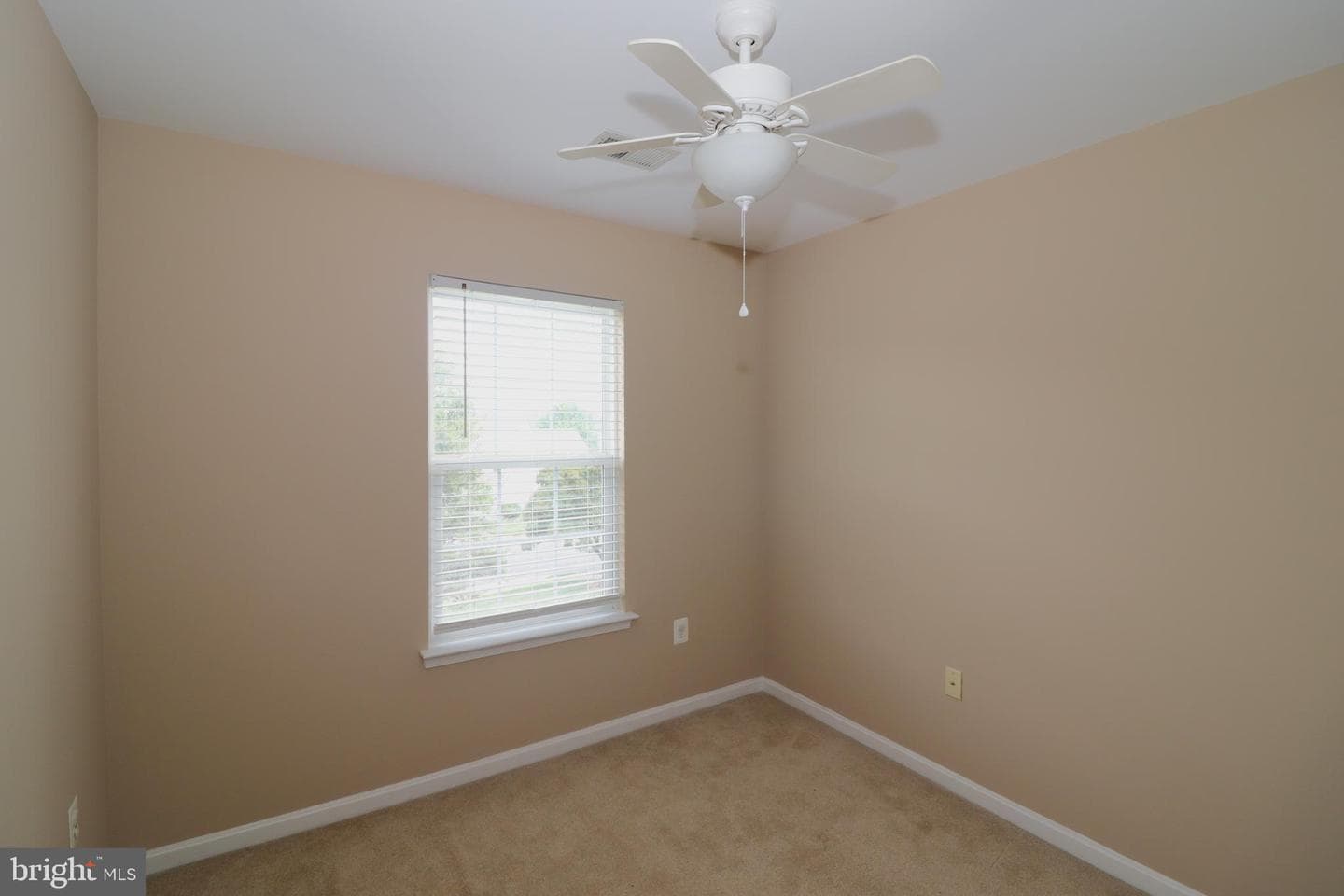 936 Persimmon photo 33