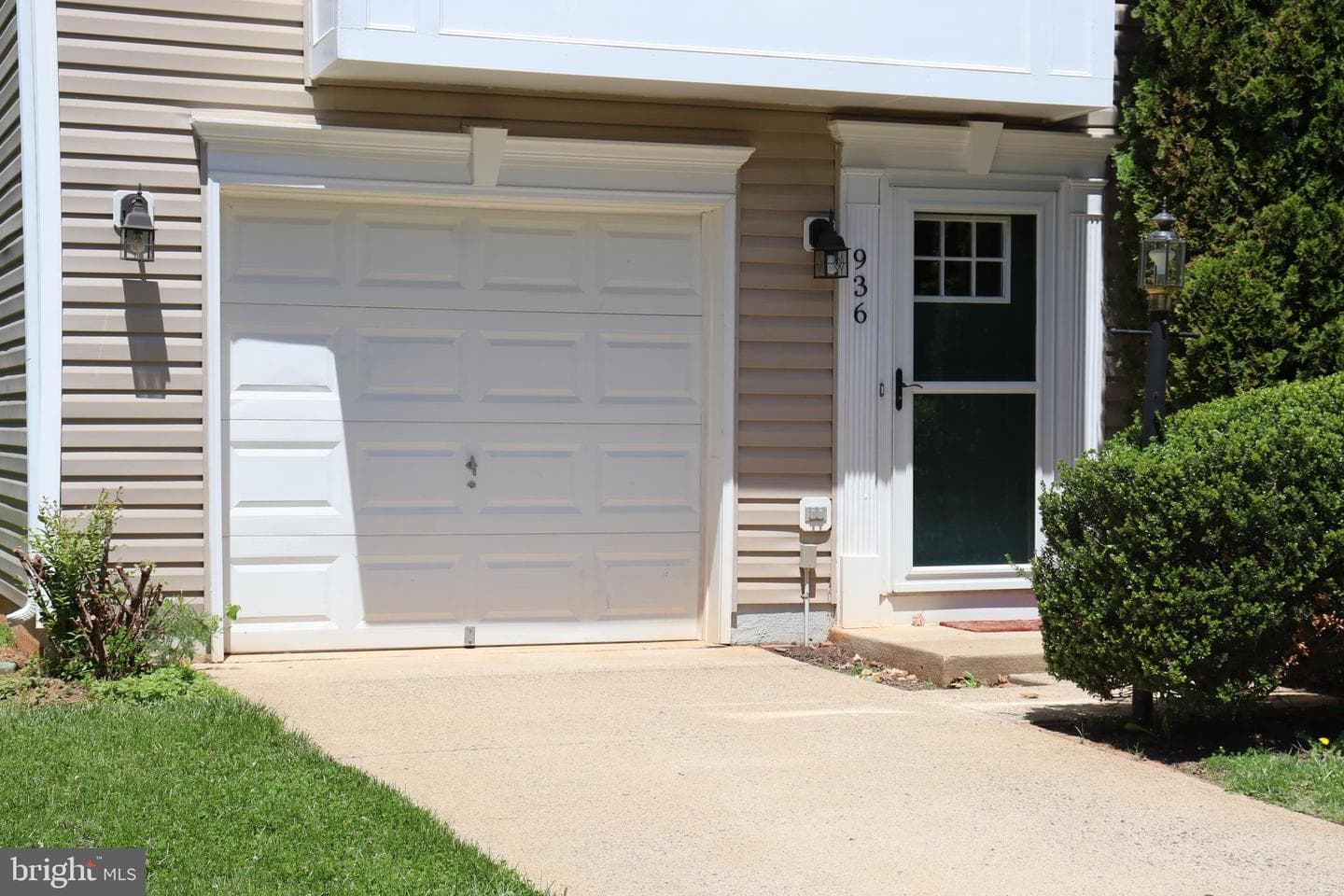 936 Persimmon photo 5
