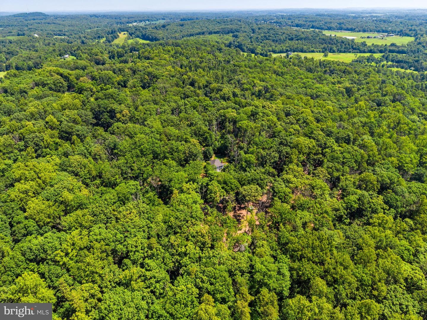 10275 Mountain Run Lake Road photo 88
