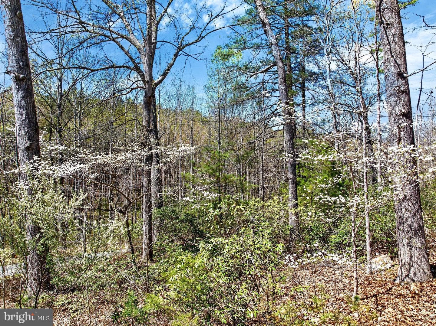 12415 Scotts Mill Road photo 71