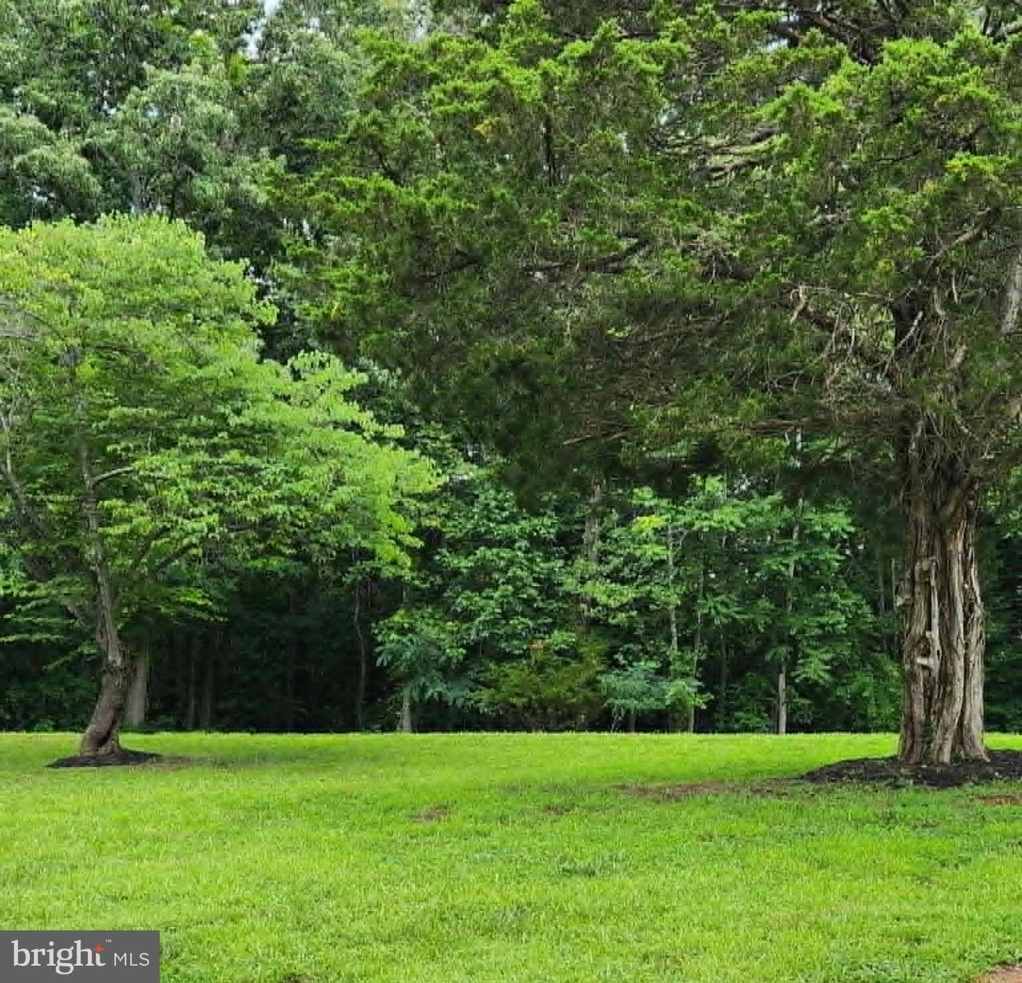 11501 Homeland Road photo 6