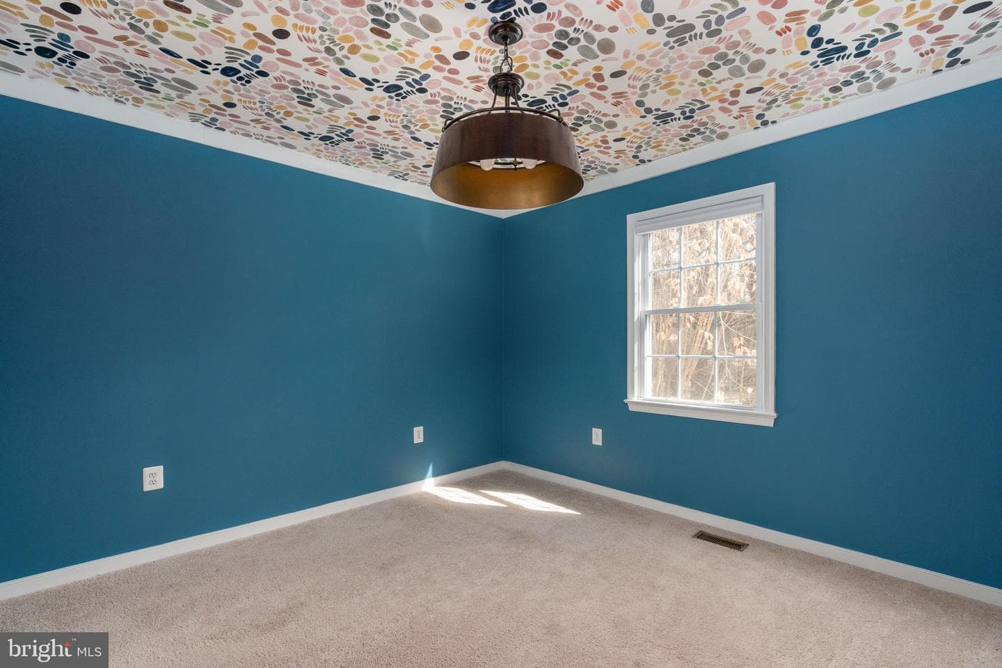 201 Lake Caroline Drive photo 18
