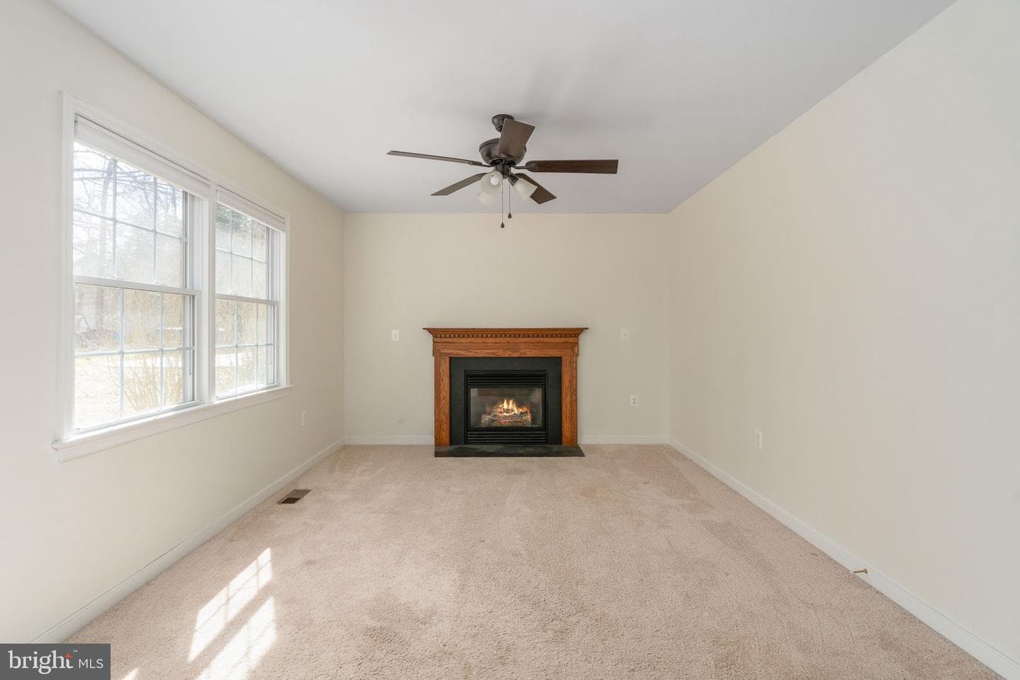201 Lake Caroline Drive photo 33