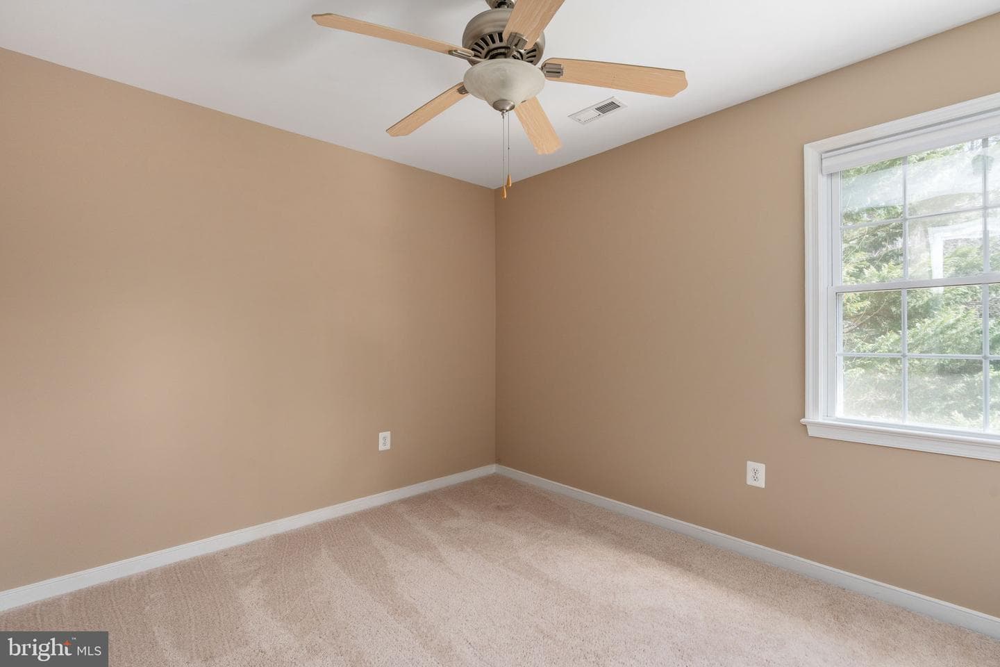201 Lake Caroline Drive photo 52
