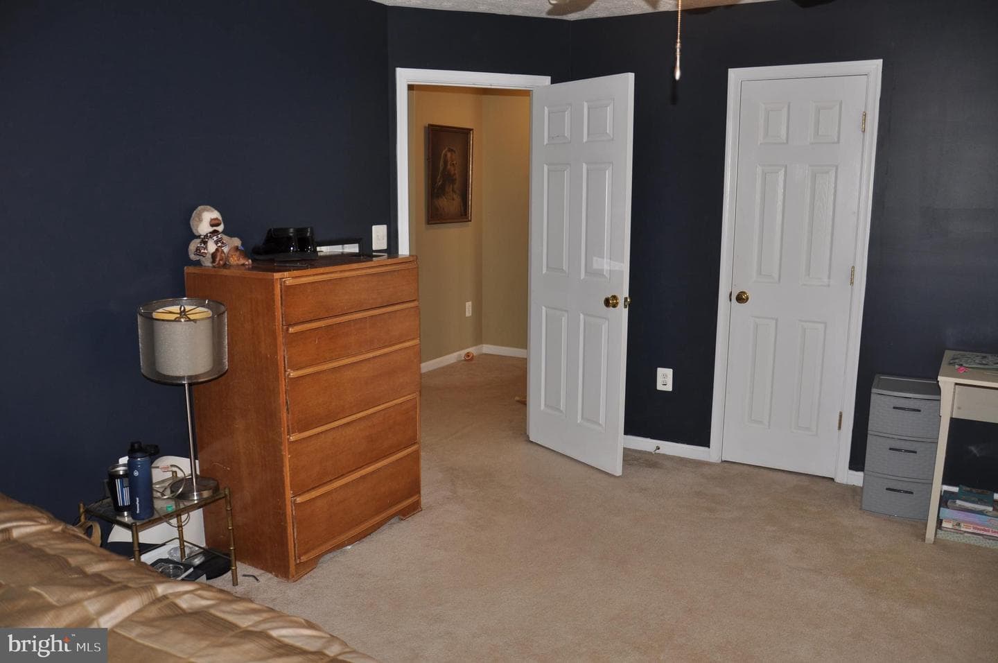 10621 Gallant Fox Way photo 41